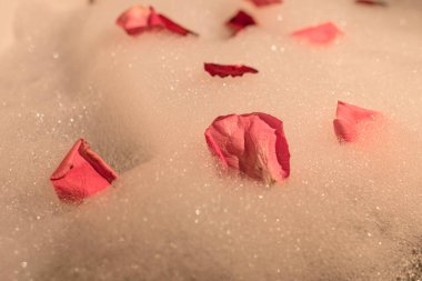 Köpüklü ve pembe gül yapraklı küvet. Hayatın, lüksün, aşk konseptinin tadını çıkarmak. Sevgililer Günü kartı ya da fotokopi alanı olan başka bir tebrik kartı. Seçici odak