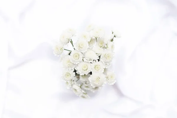 Flores blancas sobre fondo blanco con espacio para copiar. Vista superior con enfoque selectivo. Tarjeta de felicitación o invitación — Foto de Stock