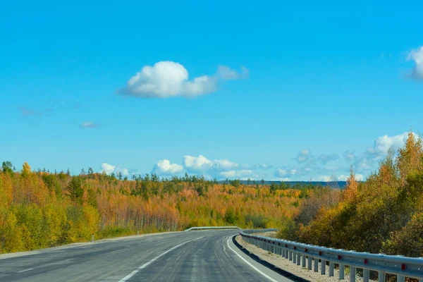 Brillante escena otoñal con carretera entre naranjos y verdes árboles y cielo azul. Enfoque selectivo suave. Belleza de la naturaleza, concepto de viaje — Foto de Stock