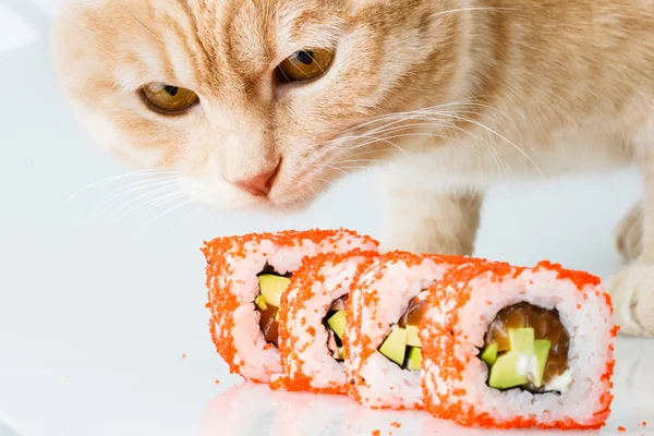Sushi japoński rolki Japonii posiłek świeży — Zdjęcie stockowe