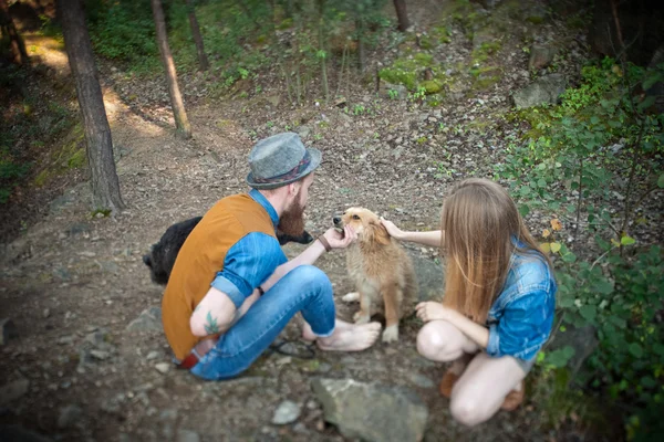 Personas acariciando perro en el bosque — Foto de Stock