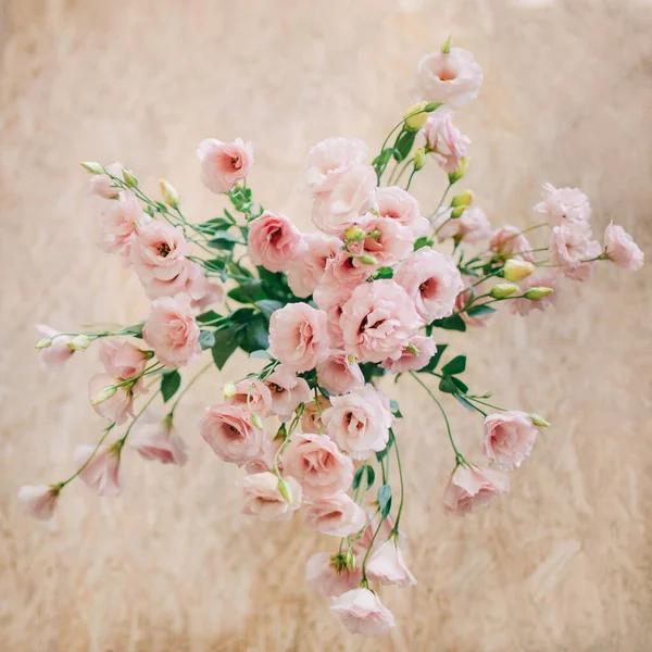 Buquê Flores Ranúnculo Rosa — Fotografia de Stock