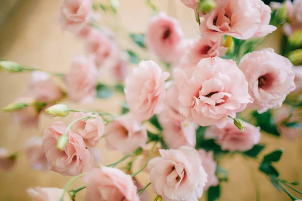 Bouquet Flowers Pink Ranunculus — Stock Photo, Image