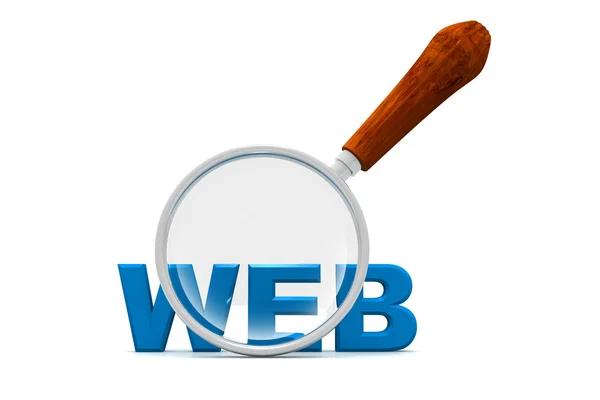 Web ve Büyüteç camı — Stok fotoğraf