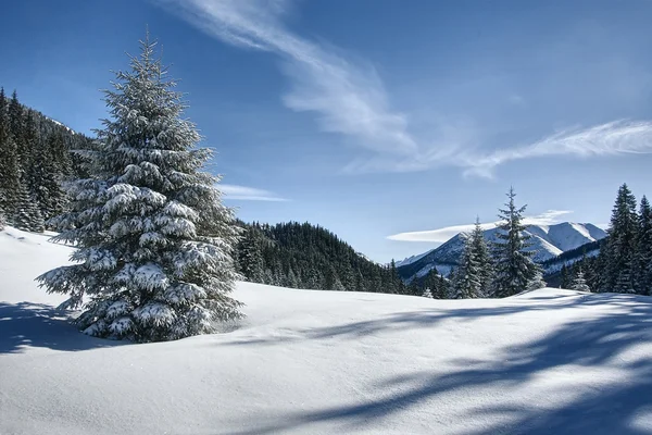 Tatry zimą — Zdjęcie stockowe