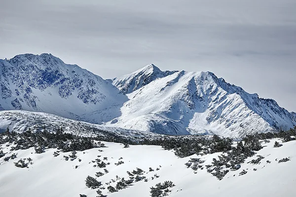 Tatry zimą — Zdjęcie stockowe