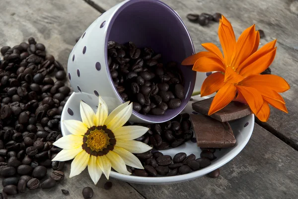 Coffee And Chocolate, Close Up — стоковое фото