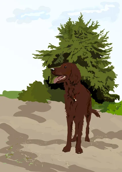Perro cerca del árbol — Vector de stock
