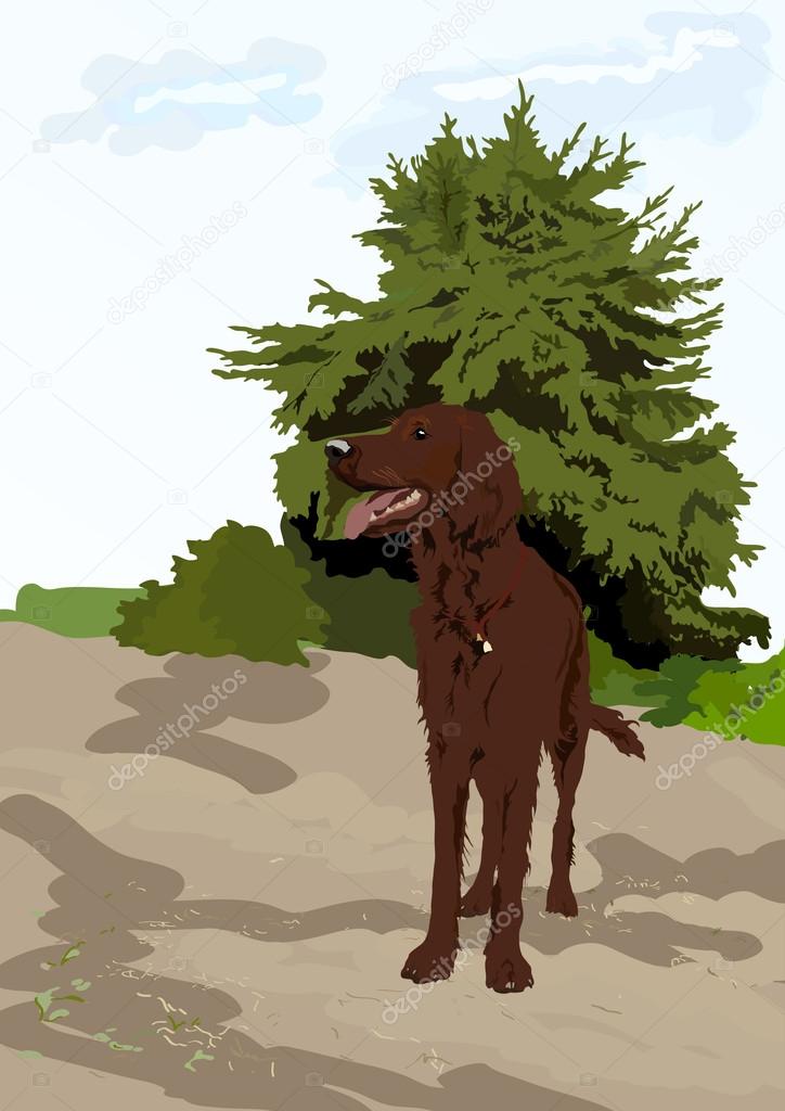 Dog near the tree