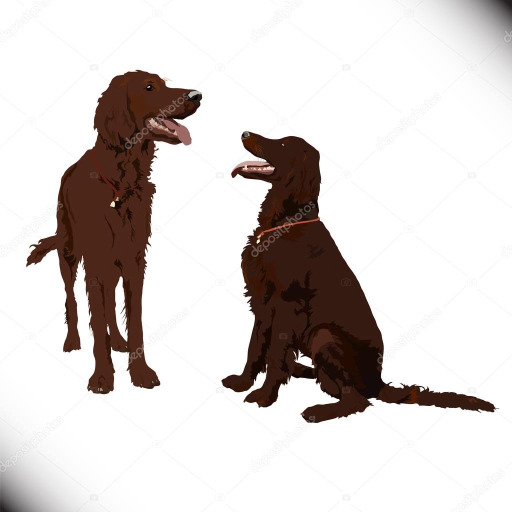 Two cute vector dogs
