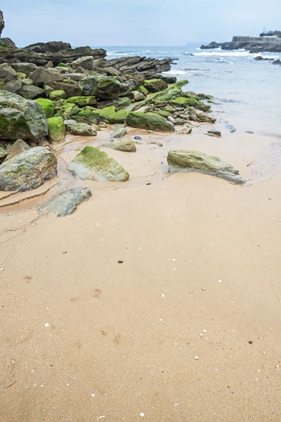 Felsen am Strand der Magdalena. Santander, Kantabrien (Spanien — Stockfoto