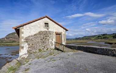 gelgit mill bir bataklık. Cantabria (İspanya).