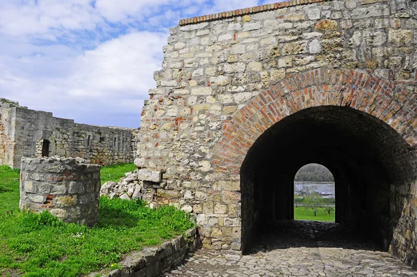 Dettaglio da una fortezza medievale di Kalemegdan — Foto Stock