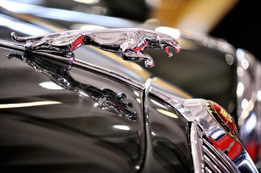 lüks spor otomobil ayrıntıları araba gösterisi