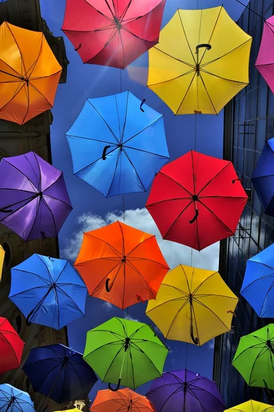 Colored umbrellas — Stock Photo, Image