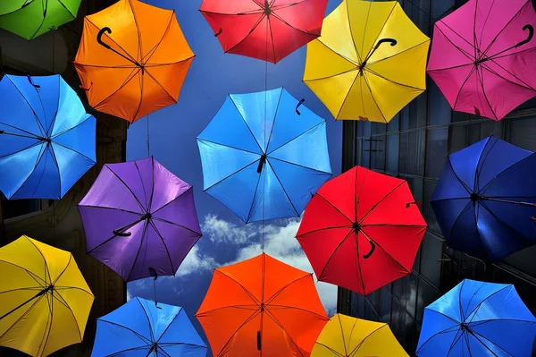 Colored umbrellas — Stock Photo, Image