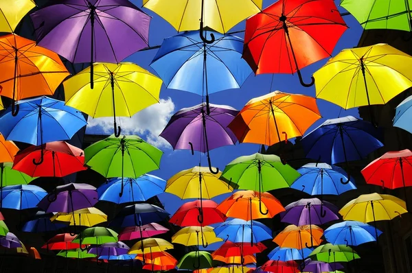 Colored umbrellas — Stock Photo, Image