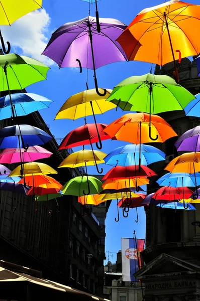 Parapluies colorés — Photo