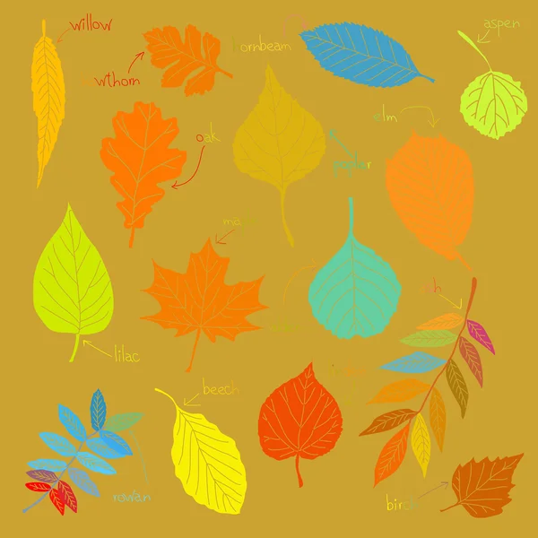 Цветные листы — стоковый вектор