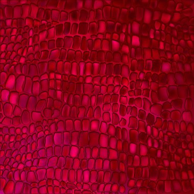 kırmızı timsah arka plan