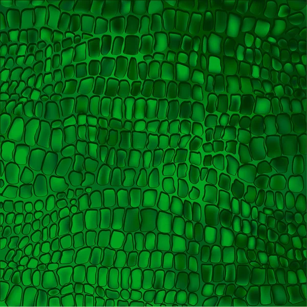 Grön krokodil bakgrund — Stock vektor