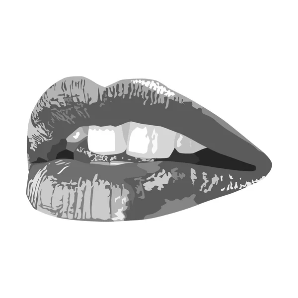 Sensual female lips — Stok Vektör