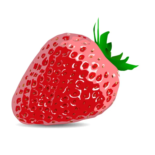 Ripe strawberries — Stock Vector