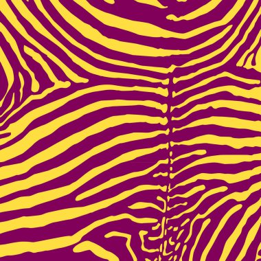 zebra arka plan