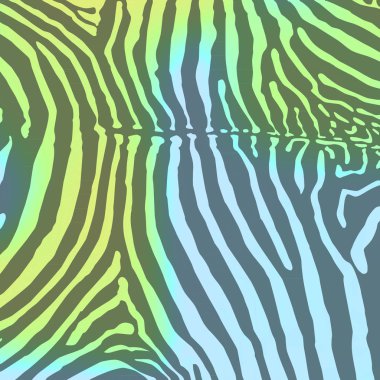 zebra arka plan