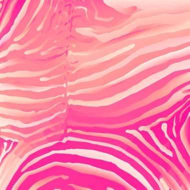 zebra arka plan