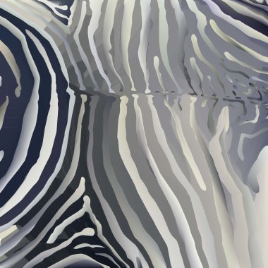 zebra arka plan