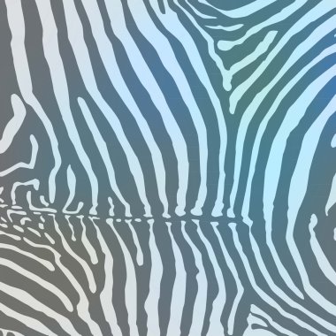 zebra arka plan