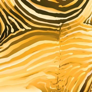 zebra arka plan