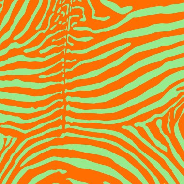 zebra arka plan