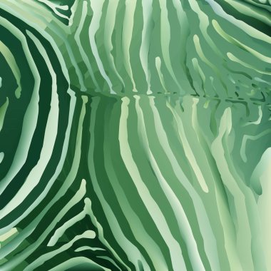 zebra arka plan