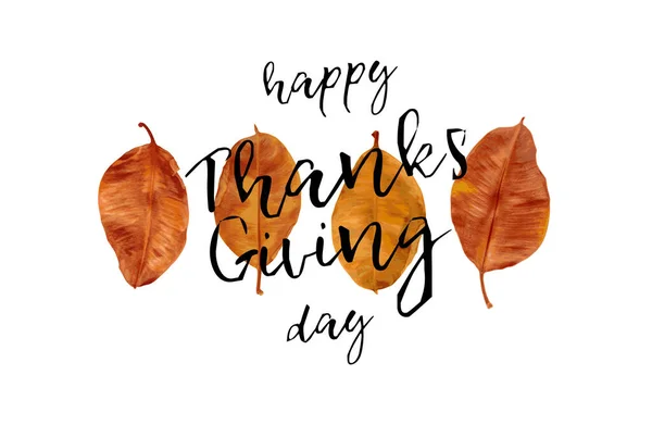 Thanksgiving Viering Traditioneel Diner Setting Maaltijd Concept Met Happy Thanksgiving — Stockvector