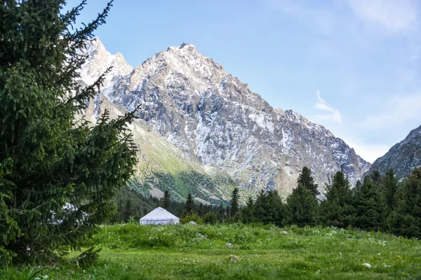 Dağlarda yaşam — Stok fotoğraf