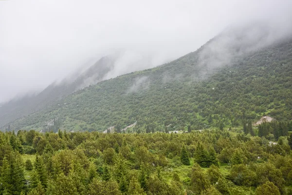 行走在天山山脉 — 图库照片