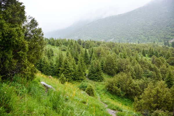 Caminando en las montañas de Tien Shan — Foto de Stock