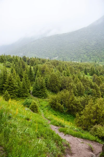 Passeggiate nelle montagne di Tien Shan — Foto Stock