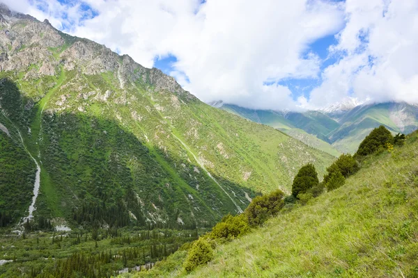 Tien-Shan-bjergene, Kirgisistan - Stock-foto