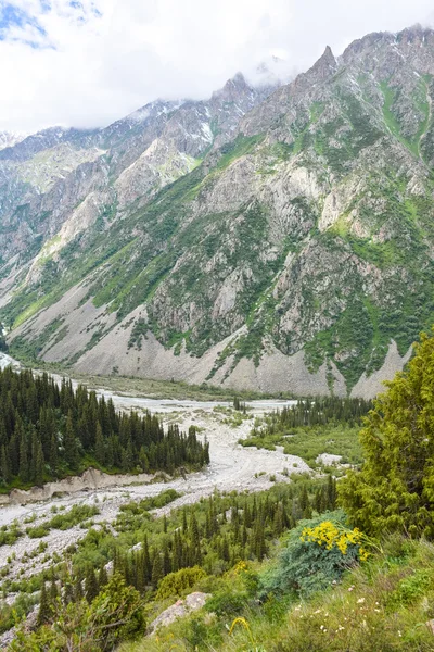 田北俊议员山山脉吉尔吉斯斯坦 — 图库照片