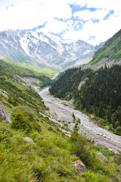 Tien-Shan-bjergene, Kirgisistan - Stock-foto