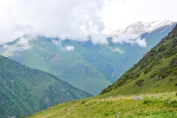Tien-Tanrı Dağları, Kırgızistan — Stok fotoğraf
