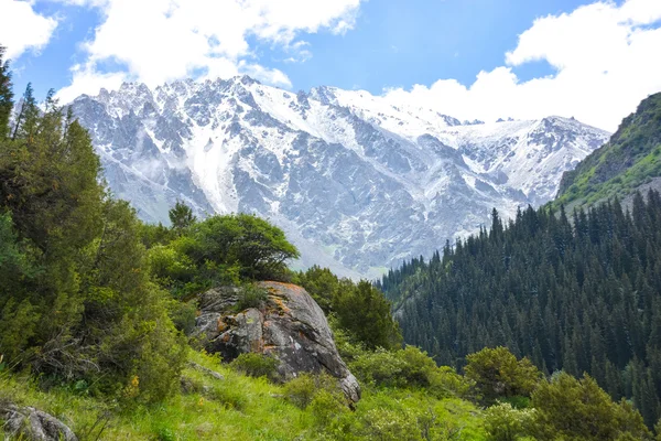 Montagne Tien-Shan, Kirghizistan Foto Stock Royalty Free