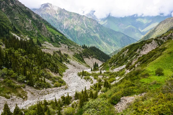 Tien-Shan-bjergene, Kirgisistan - Stock-foto