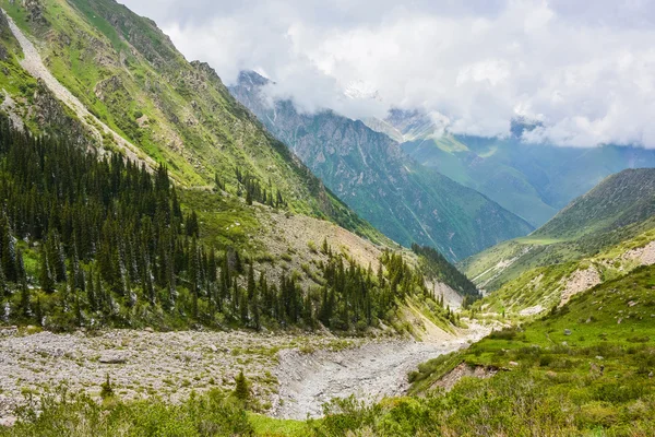 Tien-Shan-bjergene, Kirgisistan - Stock-foto