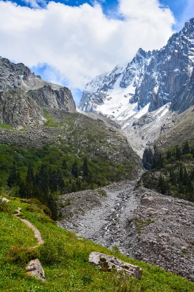 Verano en las montañas — Foto de Stock