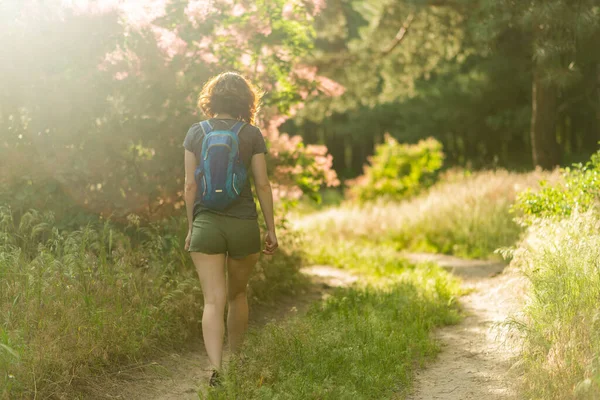 Mujer Joven Camina Largo Sendero Forestal Vista Trasera Descanso Verano — Foto de Stock