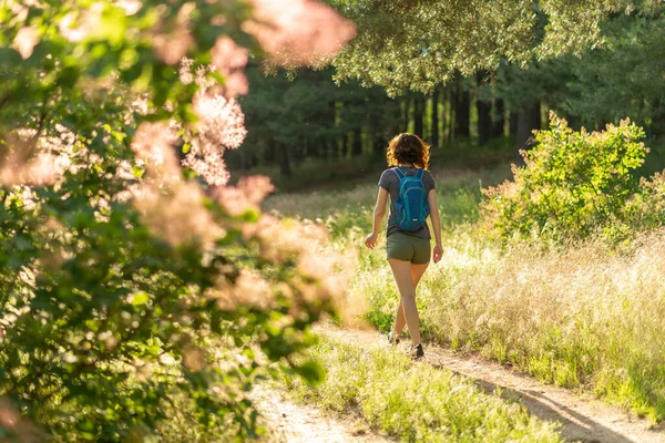 Mladá Žena Kráčí Lesní Cestě Pohled Zezadu Letní Odpočinek Stock Snímky